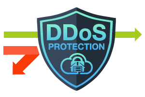 hosting ddos protection