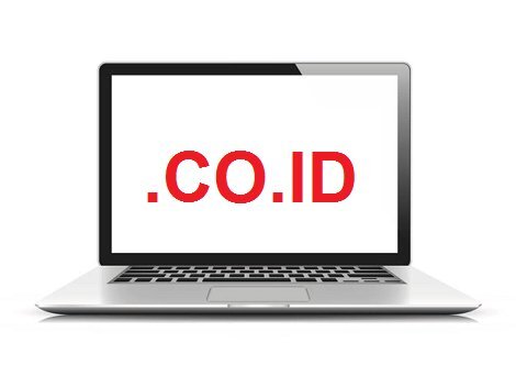 Beli Domain Co.ID Surabaya